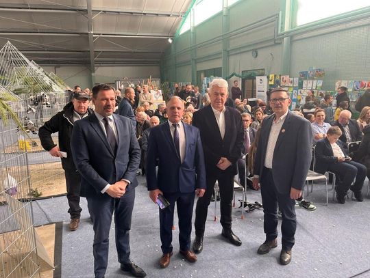 Zamość: Wystawa Gołębi Rasowych i Drobiu Ozdobnego [ZDJĘCIA]