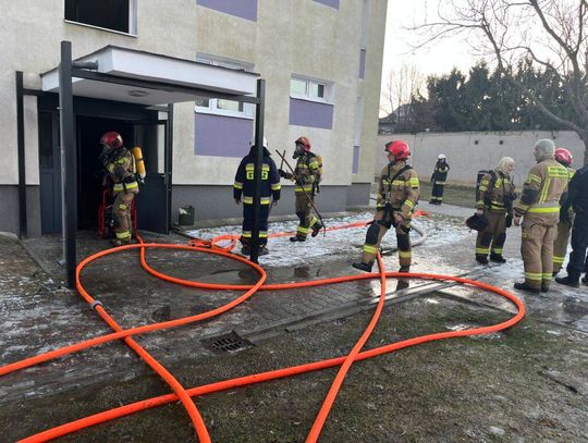 Pożar bloku w Zamościu - galeria zdjęć