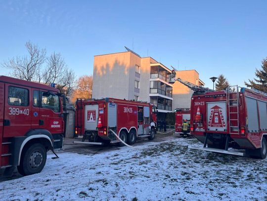 Pożar bloku w Zamościu - galeria zdjęć