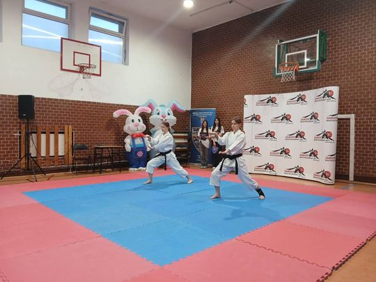 Charytatywny turniej karate w Zamościu - galeria zdjęć