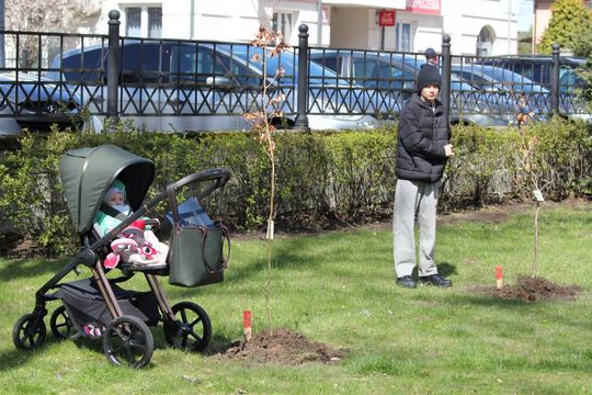 Akcja "Wrastaj w Hrubieszów" - galeria zdjęć