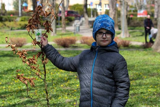 Akcja "Wrastaj w Hrubieszów" - galeria zdjęć