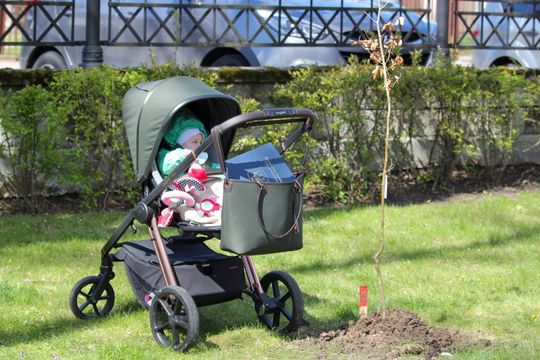 Akcja "Wrastaj w Hrubieszów" - galeria zdjęć