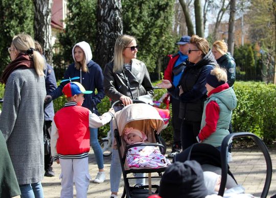 Akcja "Wrastaj w Hrubieszów" - galeria zdjęć