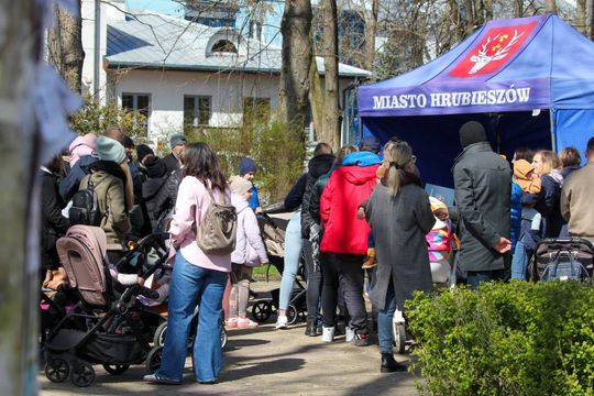 Akcja "Wrastaj w Hrubieszów" - galeria zdjęć