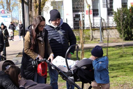 Akcja "Wrastaj w Hrubieszów" - galeria zdjęć