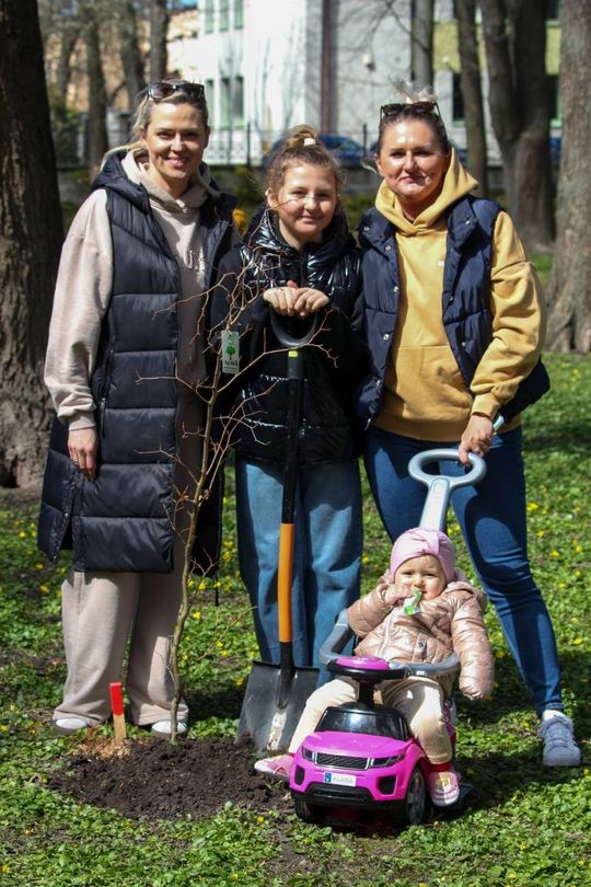 Akcja "Wrastaj w Hrubieszów" - galeria zdjęć