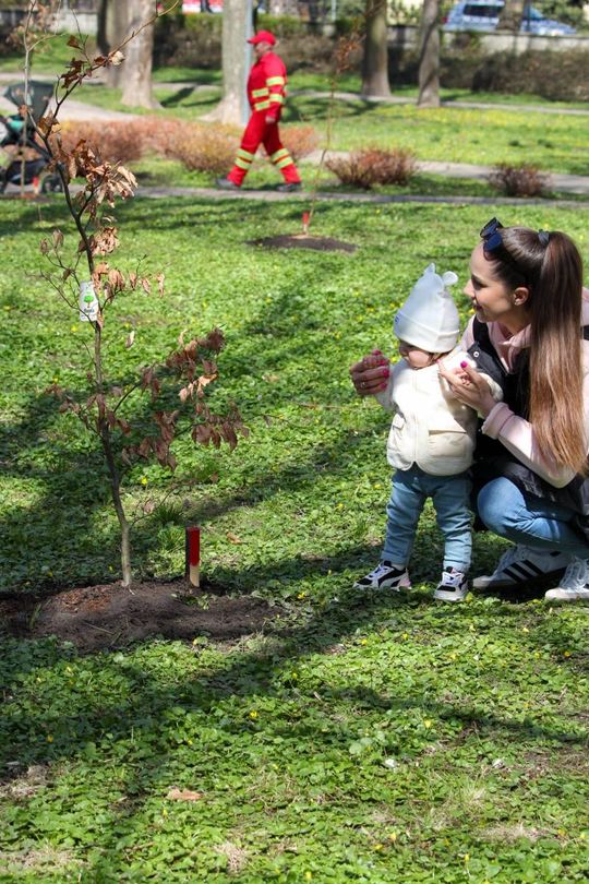 Akcja "Wrastaj w Hrubieszów" - galeria zdjęć