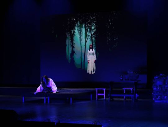 „Topielica i Szeptucha” na scenie Hrubieszowskiego Domu Kultury - galeria zdjęć