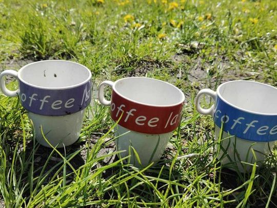 Operacja Czysta Rzeka w Hrubieszowie - galeria zdjęć