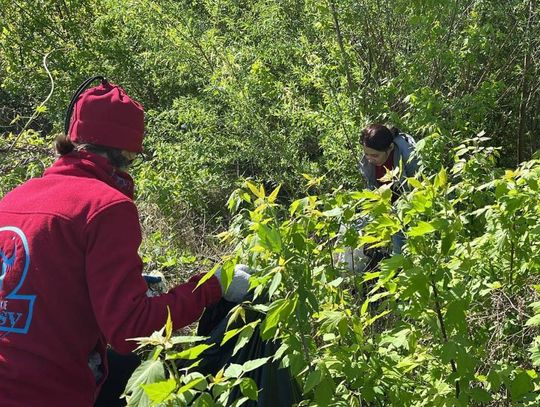 Operacja Czysta Rzeka w Hrubieszowie - galeria zdjęć