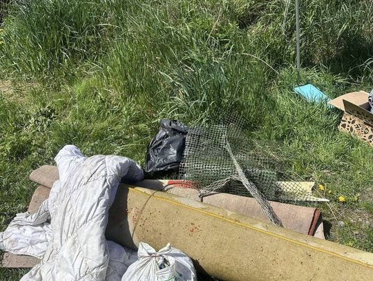 Operacja Czysta Rzeka w Hrubieszowie - galeria zdjęć