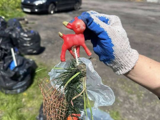 Operacja Czysta Rzeka w Hrubieszowie - galeria zdjęć