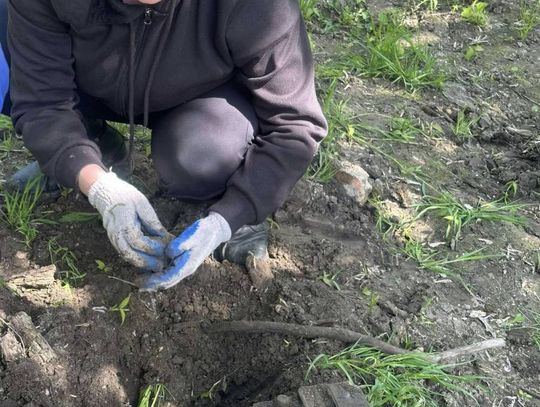 Operacja Czysta Rzeka w Hrubieszowie - galeria zdjęć