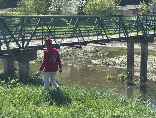 Operacja Czysta Rzeka w Hrubieszowie - galeria zdjęć