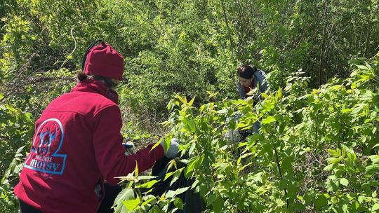 Operacja Czysta Rzeka w Hrubieszowie - galeria zdjęć
