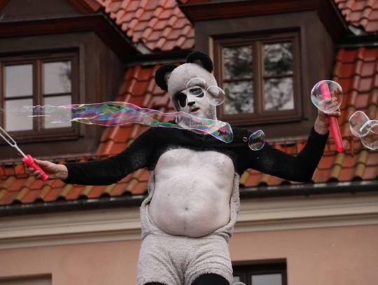 Majówka ze Sztukmistrzami w Zamościu - galeria zdjeć