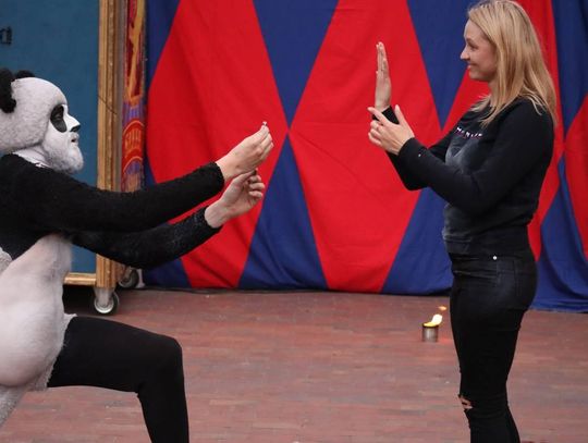 Majówka ze Sztukmistrzami w Zamościu - galeria zdjeć