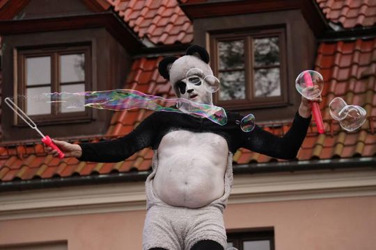 Majówka ze Sztukmistrzami w Zamościu - galeria zdjeć