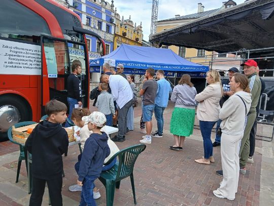 Akcja krwiodawstwa na Rynku Wielkim w Zamościu - galeria zdjęć