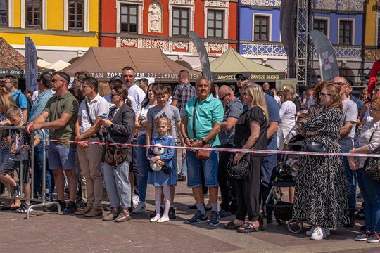Zamość w rocznicę uchwalenia Konstytucji 3 maja - galeria zdjęć