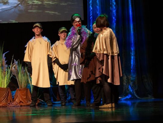 Marsz Godności w Tomaszowie Lubelskim i spektakl [ZDJĘCIA]