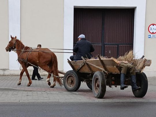 Zamość: 79. rocznica odbicia więźniów z komunistycznego więzienia - galeria zdjęć