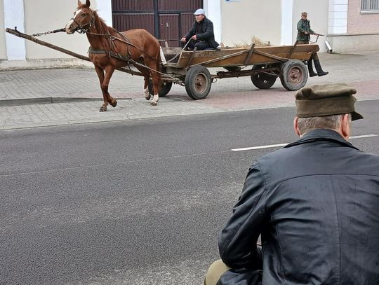 Zamość: 79. rocznica odbicia więźniów z komunistycznego więzienia - galeria zdjęć