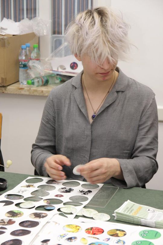 Targi pracy i edukacji w Zamościu - galeria zdjęć Targi pracy i edukacji w Zamościu - galeria zdjęć