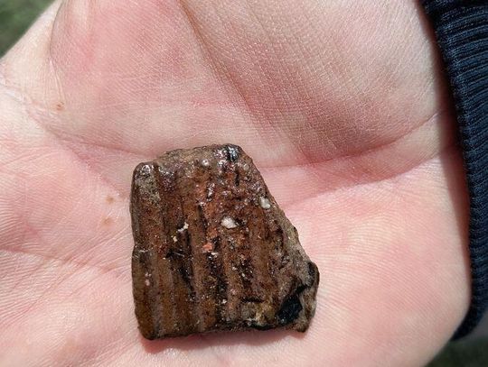 Słowiańska osada sprzed tysiąca lat odkryta na trasie S17