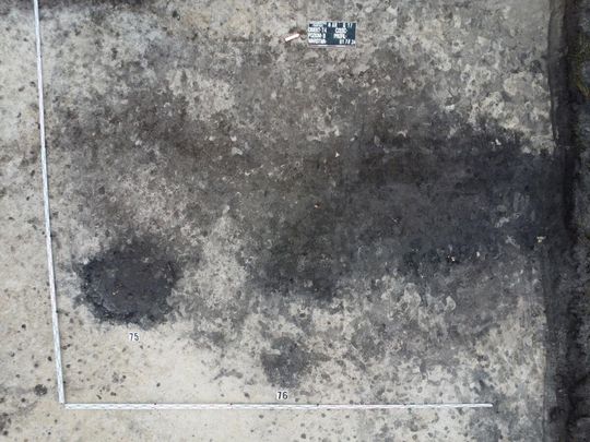 Stanowisko Tarnawatka - Tartak 8. Rzut obiektów archeologicznych z widocznymi zabytkami w wypełnisku - przed eksploracją. Fot. M. Mazurek