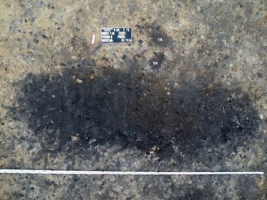 Stanowisko Tarnawatka - Tartak 8. Rzut obiektów archeologicznych z widocznymi zabytkami w wypełnisku - przed eksploracją. Fot. M. Mazurek