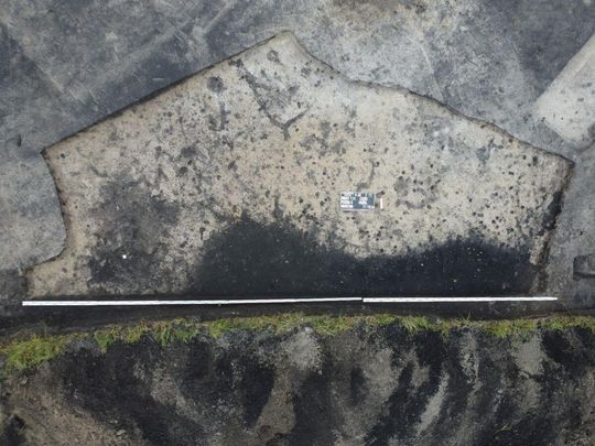 Stanowisko Tarnawatka - Tartak 8. Wczesnośredniowieczny obiekt archeologiczny przed eksploracją. Fot. M. Mazurek