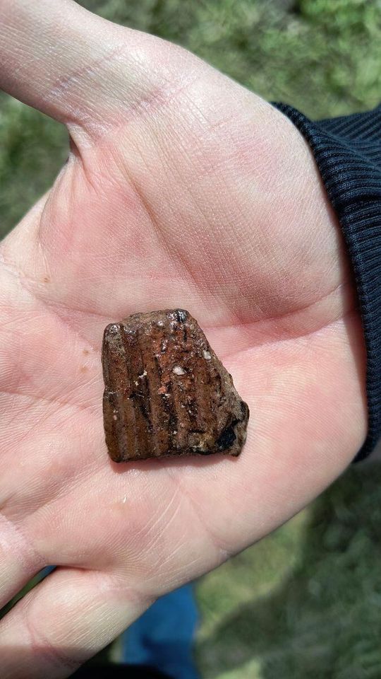 Stanowisko Tarnawatka - Tartak 8. Ceramika pradziejowa pozyskana podczas badań Fot. A. Stachyra