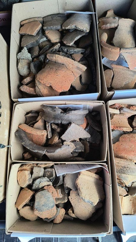 Stanowisko Tarnawatka - Tartak 8. Wczesnośredniowieczna ceramika naczyniowa pozyskana podczas badań. Fot. A. Stachyra