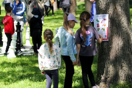 Ekologiczny Piknik w Hrubieszowie - galeria zdjęc