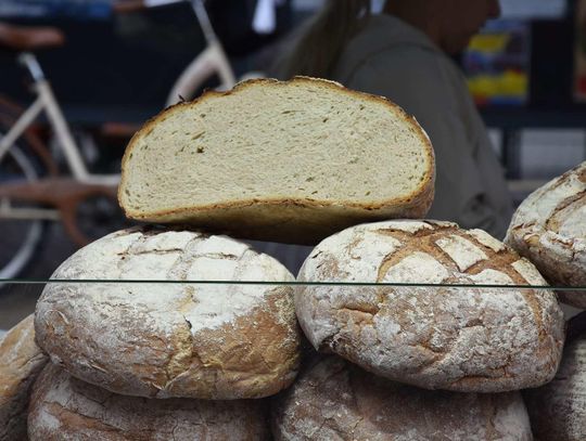 Jarmark Sitarski w Biłgoraju [ZDJĘCIA]