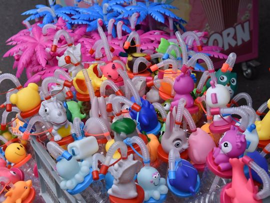 Jarmark Sitarski w Biłgoraju [ZDJĘCIA]