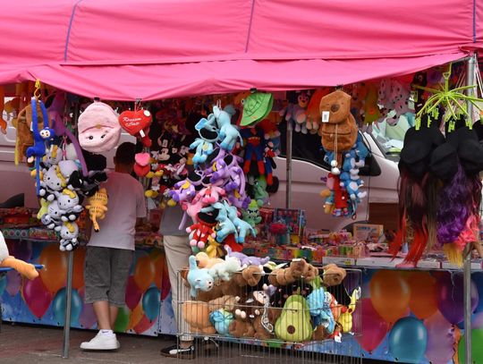 Jarmark Sitarski w Biłgoraju [ZDJĘCIA]