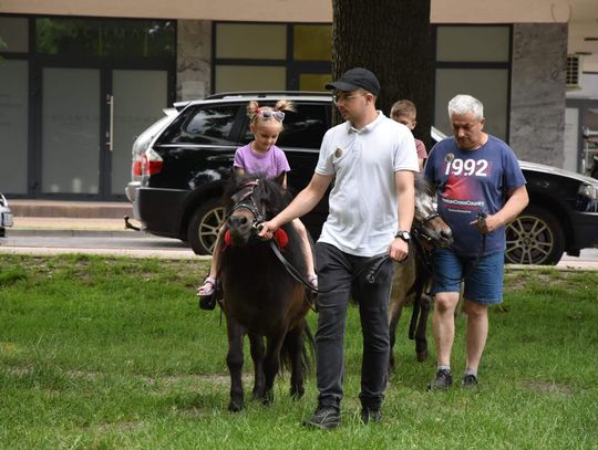 Jarmark Sitarski w Biłgoraju [ZDJĘCIA]