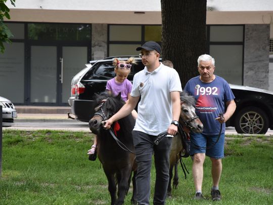 Jarmark Sitarski w Biłgoraju [ZDJĘCIA]