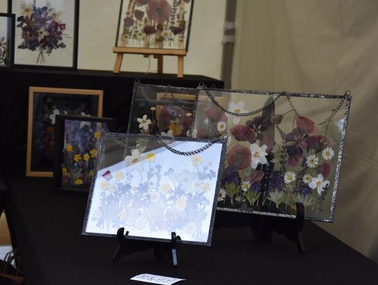 Jarmark Sitarski w Biłgoraju [ZDJĘCIA]