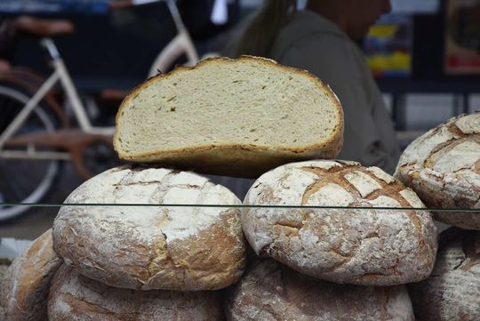 Jarmark Sitarski w Biłgoraju [ZDJĘCIA]