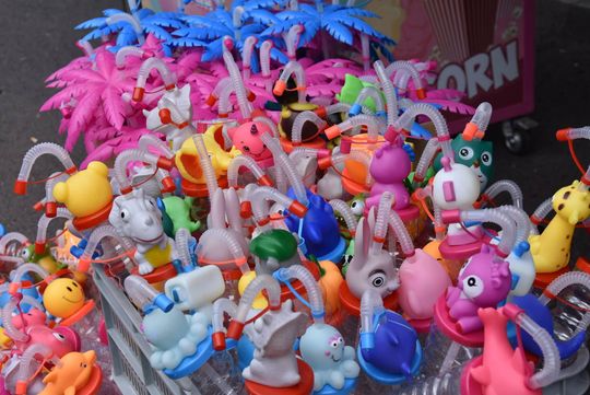 Jarmark Sitarski w Biłgoraju [ZDJĘCIA]