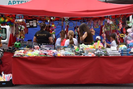 Jarmark Sitarski w Biłgoraju [ZDJĘCIA]