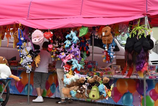 Jarmark Sitarski w Biłgoraju [ZDJĘCIA]