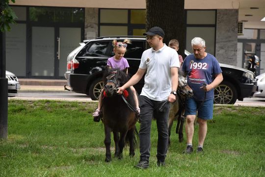 Jarmark Sitarski w Biłgoraju [ZDJĘCIA]