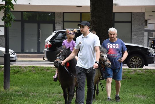 Jarmark Sitarski w Biłgoraju [ZDJĘCIA]