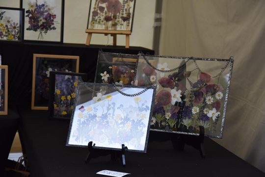 Jarmark Sitarski w Biłgoraju [ZDJĘCIA]