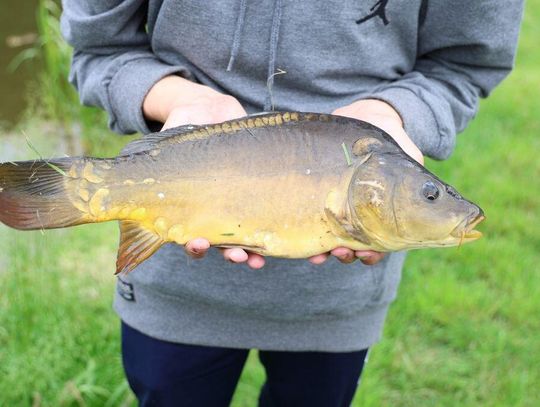 Zawody Wędkarskie o Puchar Wójta Gminy Bełżec